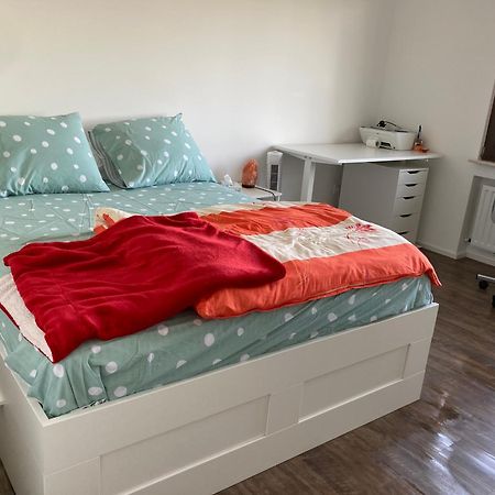 Nice Cozy Appartment Remich Εξωτερικό φωτογραφία